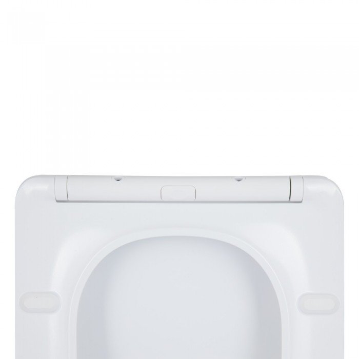 Сиденье для унитаза Qtap (Crow 490) с микролифтом Slim QT99SC6108W