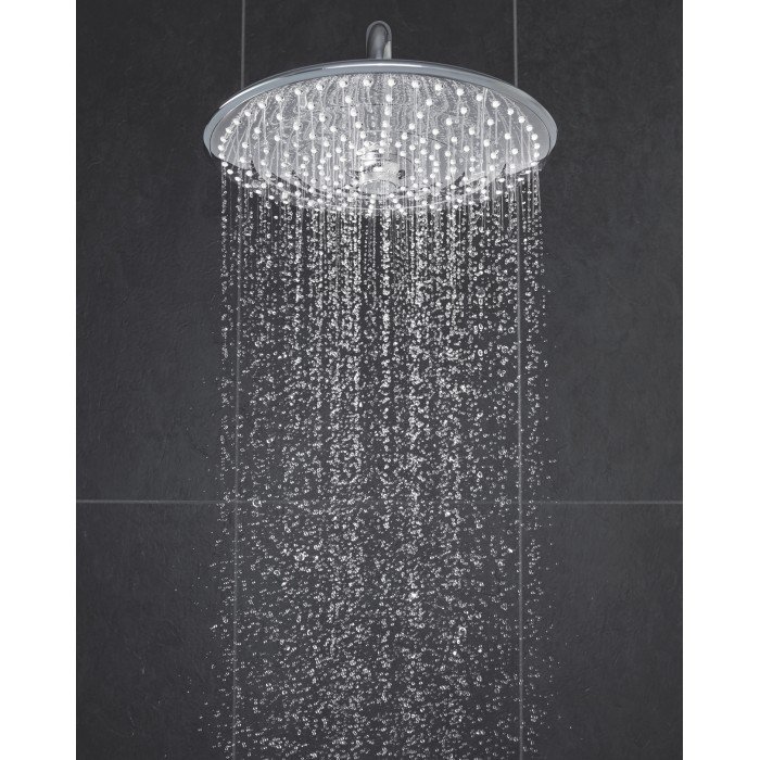Верхний душ с потолочным кронштейном Grohe Euphoria (26461000) Верхний душ с потолочным кронштейном Grohe Euphoria (26461000)