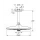 Верхний душ с потолочным кронштейном Grohe Euphoria (26461000) Верхний душ с потолочным кронштейном Grohe Euphoria (26461000)
