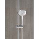 Ручной душ, 3 режима струи Grohe Euphoria (27221001) Ручной душ, 3 режима струи Grohe Euphoria (27221001)