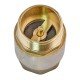 Клапан зворотний ГШ Waterpro WP301-32FM - 1 1/4" (латунь) (WP3327) Клапан зворотний ГШ Waterpro WP301-32FM - 1 1/4" (латунь) (WP3327)