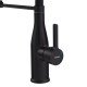 Смеситель для кухни Mixxus Premium Summer 017 BLACK REFL.BLACK (MI6961) Смеситель для кухни Mixxus Premium Summer 017 BLACK REFL.BLACK (MI6961)
